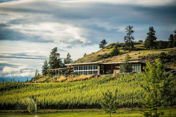 Okanagan Valley vineyards along a lake, flanked by mountains